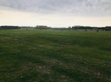 Terreno · 530m² · Terreno Lote en Venta Ubicado en Carpinchos, Nordelta, Tigre