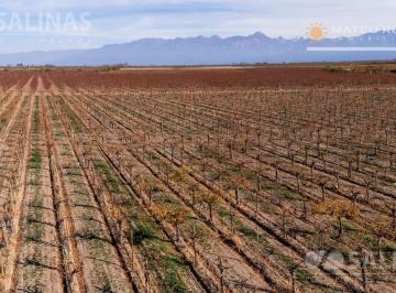 Campo · 460000m² · Finca en Cordón del Plata