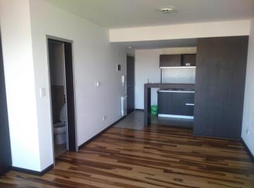 Departamento · 37m² · 1 Ambiente · Departamento Alquiler Berazategui