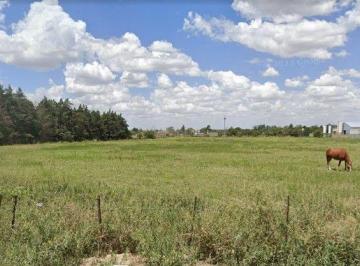 Terreno , Río Cuarto · Venta de Fracción Comercial en Rio IV - Tlc0892