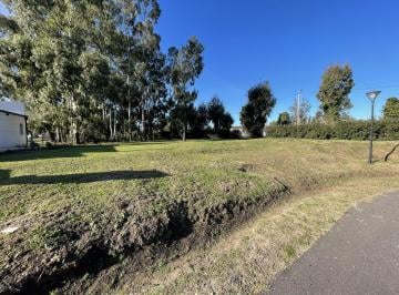 Terreno · 620m² · Lote en El Excelente Barrio Privado Rumenco Joven
