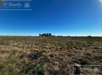 Campo · 310000m² · Chacra de 31 Has en Venta en La Plata - Ideal Hortícola