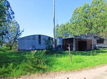 Campo · 480000m² · 1 Ambiente · Campo Forestal. Estacion Yequeri