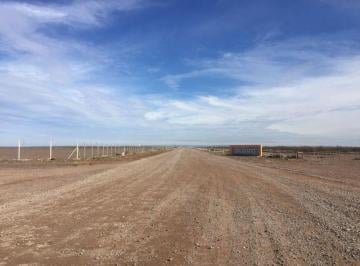 Terreno · 60000m² · Lote 6 Ha Parque Industrial Añelo Vaca Muerta
