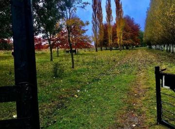 Terreno · 360000m² · Terreno Lote en Venta en Lujan, Zona Delta, Tigre
