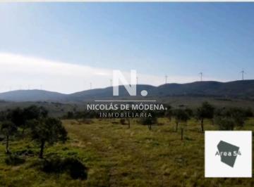 Foto1 · En Venta Excelente Campo Olivícola de 54has en Sierra de Los Caracoles.
