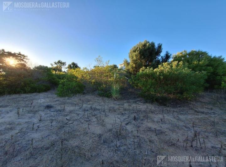 Terreno · 1172m²
