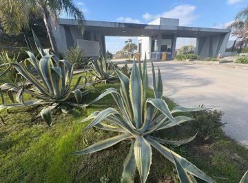 Terreno · 979m² · Lote Terreno en Venta en Los Juncos, Lujan, Buenos Aires