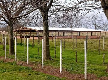 Campo · 16m² · Terreno Campo en Venta en Miramar, Costa Atlántica, Buenos Aires