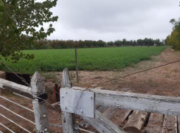 Campo · 2ha · Venta Finca 2ha San Martin Mendoza