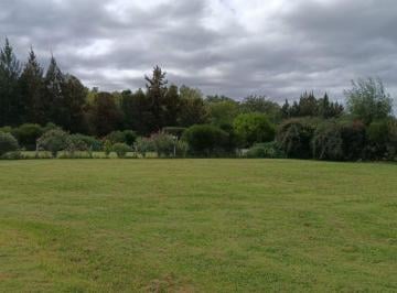 Terreno · 800m² · Lote en Venta en Barrio Santo Domingo Canning
