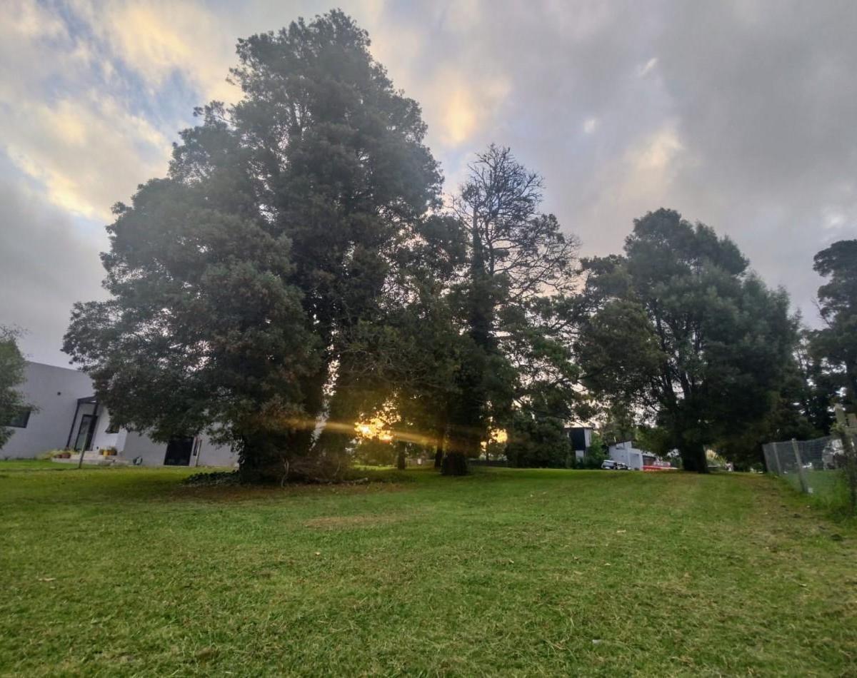 Lote en venta en Barrio Privado Las Prunas, 600m²