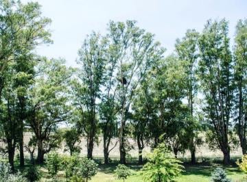 Campo · 680m² · 5 Ambientes · Campo con Casas, Pileta, Cancha de Tenis y Boxes en Open Door