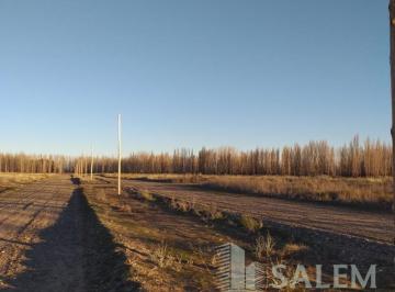 Terreno · 360m² · Terreno en Venta - Bª Las Araucarias - Plottier