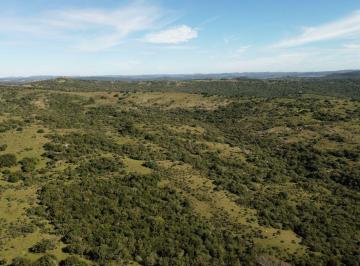 BPV-BPV-10488_2 · Campo de 102 Hectáreas en Venta Aigua con Arroyo Ruta 109