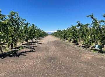 Campo , Tunuyán · Contacto Propiedades Inmobiliaria Vende Finca