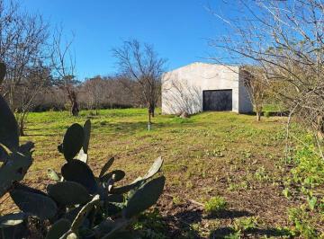 Bodega-Galpón · 80m² · Galpon en Venta en Brandsen con Amplio Lote