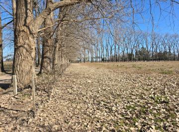 Campo · 365m² · Campo en Cardales