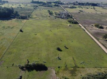 Terreno , Brandsen · 3,3 Has, Coronel Brandsen, Buenos Aires.