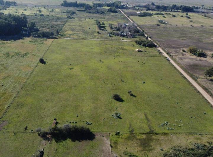 Terreno · 33146m²