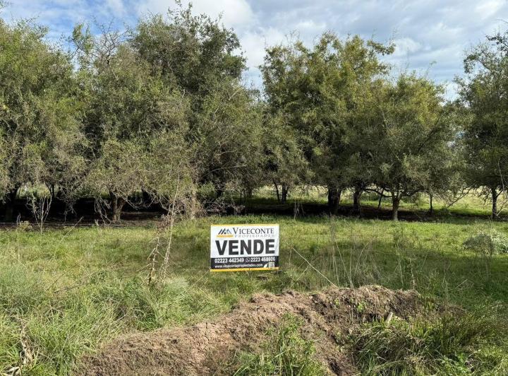 Terreno · 12861m²