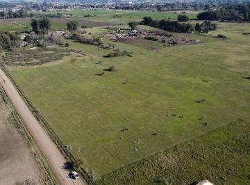 Terreno , Brandsen · 1,2 Has, Coronel Brandsen, Buenos Aires.