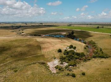 BPV-BPV-10339_2 · Espectacular Campo en Venta Residencia o Desarrollo Garzon