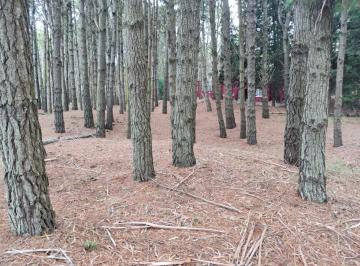 Terreno · 1300m² · Lote Barrio Bosque Costa Esmeralda