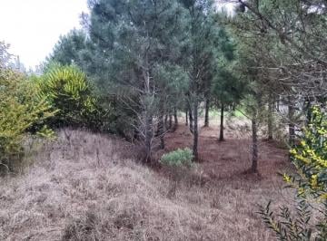 Terreno · 1179m² · Lote en Venta en Golf 2 Oportunidad Financia