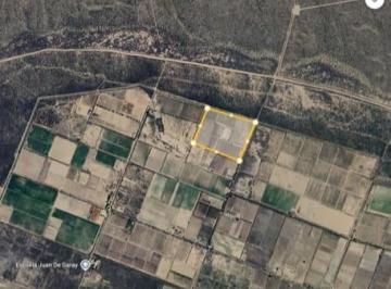 Campo · 79400000m² · Finca de 19 Ha en Colonia Española, Cuadro Nacional.