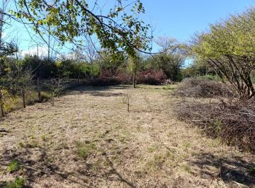 Terreno , Capilla Vieja · Los Reartes Lote en Venta (A 1.5 Kms del Río en Capilla Vieja)