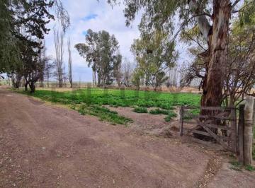Campo · 400m² · Venta Finca 51ha K48 Ugarteche