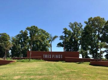 Terreno · 1000m² · Venta Lote Tres Pinos - Barrio Norte 1000 m²