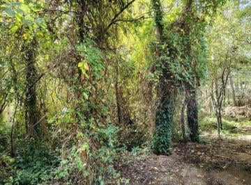 Terreno · 300m² · Lote en Venta en Mar Azul