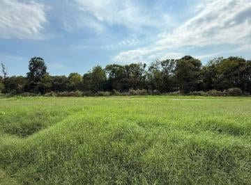 Terreno · 444m² · Lote en Venta B. Las Marias Exaltacion de La Cruz