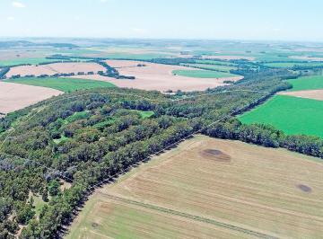 Campo · 670000m² · Balcarce - 67 Ha Ideal Uso Turísitico - Recreativo