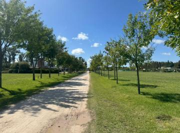 Terreno · 2500m² · Terreno en Campo de Roca 2