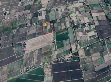 Campo , San Carlos · Venta de 8.2 Has en La Consulta, San Carlos