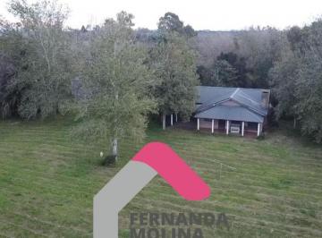 Campo · 50000m² · Terreno Campo en Venta en Diego Gaynor, Exaltación de La Cruz, G. B. a. Zona Norte