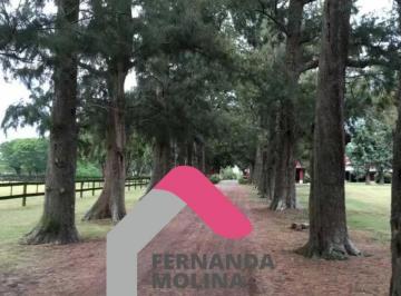 Terreno · 5000m² · Terreno Lote en Venta en Haras El Malacate, Exaltación de La Cruz, G. B. a. Zona Norte