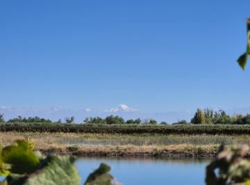 Campo , La Libertad · Excelente Finca en La Libertad - Rivadavia