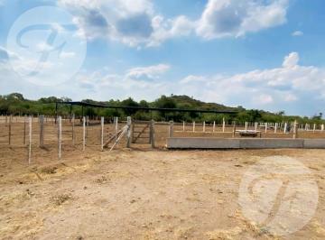 Campo · 990000m² · 10 Ambientes · Venta en San Luis (Gral Roca) I Unidad Económica con Gran Infraestructura I 99 Hectáreas