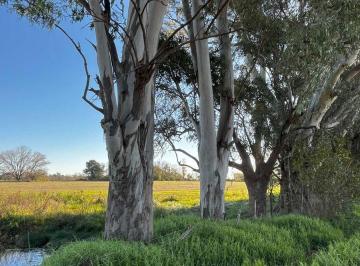 Campo · 12ha · Venta Fraccion 12 Ha Zona Capilla del Señor
