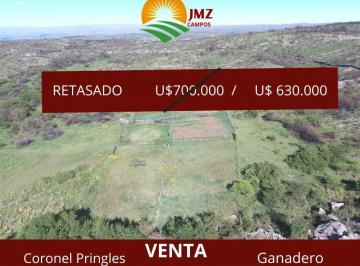 JMZ-JMZ-209_2 · Campo 456 Hectáreas |. | Coronel Pringles - 456 Ha - San Luis