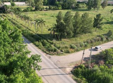 TER-TER-11_2 · Fracción de 3.3 Ha Sobre Av Frondizi - Ideal Desarrollos - Pilar