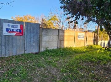 FAE-FAE-785_2 · Lote. | Alsina Al 2200
