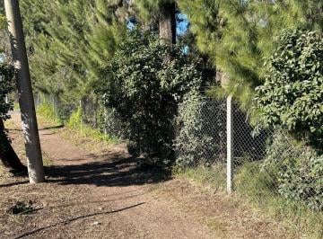 Terreno , Moreno · Lote en Francisco Alvarez