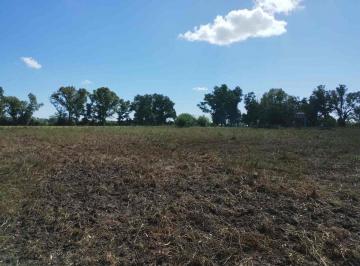 Campo · 8ha · Campo - Fraccion de 8.15 Ha