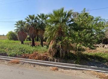 Terreno · 10000m² · Terreno 1 Hectárea en Calle Benjamín Argumedo, La Primavera