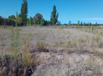Terreno · 1183m² · Terreno en Calle Serpa, Rodeo del Medio